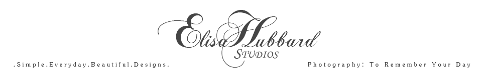 Elisa Hubbard Studios